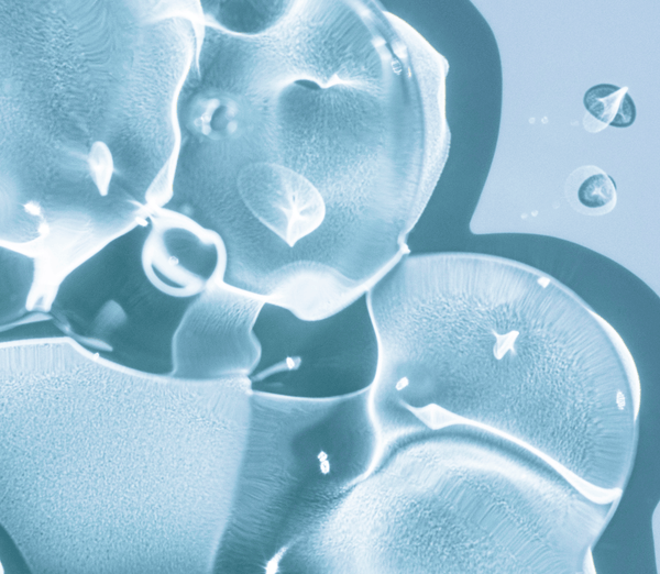 The Top 10 Benefits of Collagen